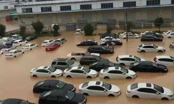 新车泡在水里也“不管”，车主什么心理？定损员：神人