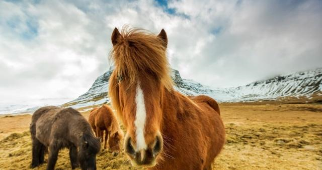 冰岛最好的旅游冰洞、温泉和史诗般的冒险