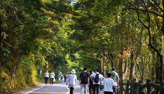深圳鹏城第一峰，在深圳可不去世界之窗，但不可错过免费梧桐山