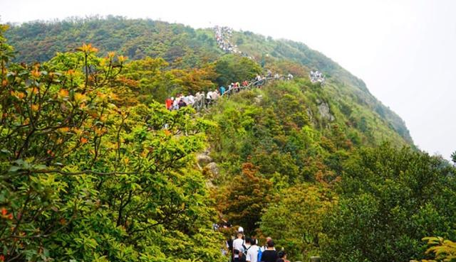 深圳鹏城第一峰，在深圳可不去世界之窗，但不可错过免费梧桐山