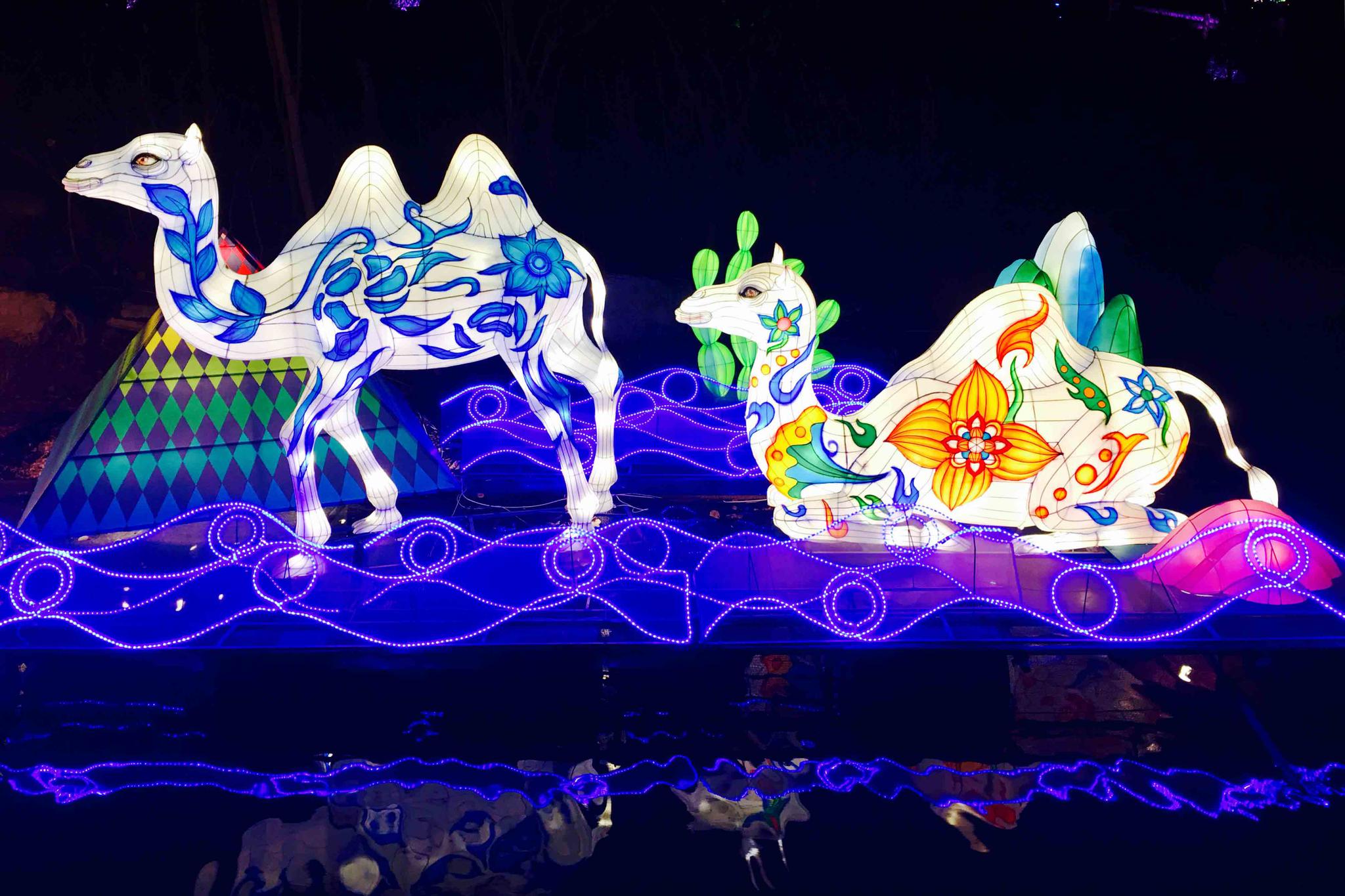 2019武汉欢乐谷奇幻灯光节 第五届东湖新春灯会【武汉 欢乐谷】