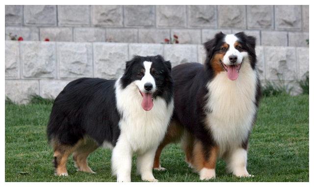 安阳同城约初中生100元