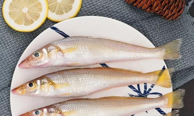 十大最贵海鱼盘点 海钓爱好者必看鱼种