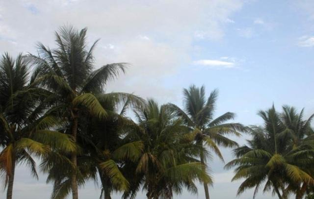 越来越多的人不去海南旅游,曾经的天涯海角,现