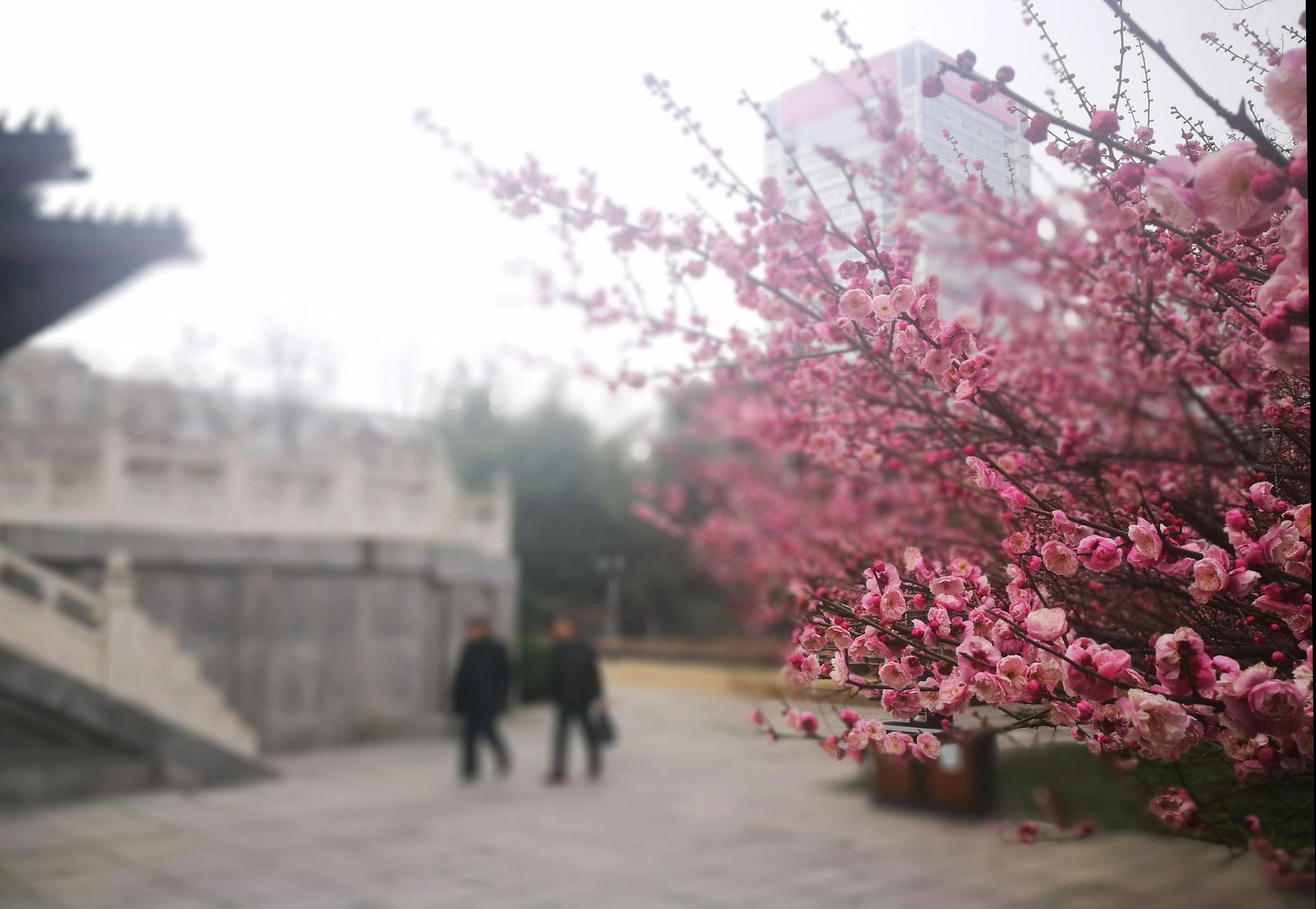 震惊！清风阁我爱干网站到底是什么？为什么大家都在讨论它？