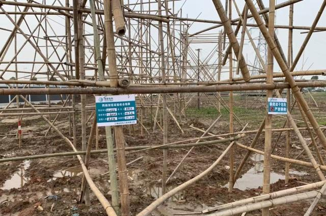 独家图集| 探访特斯拉上海超级工厂,感受中国基