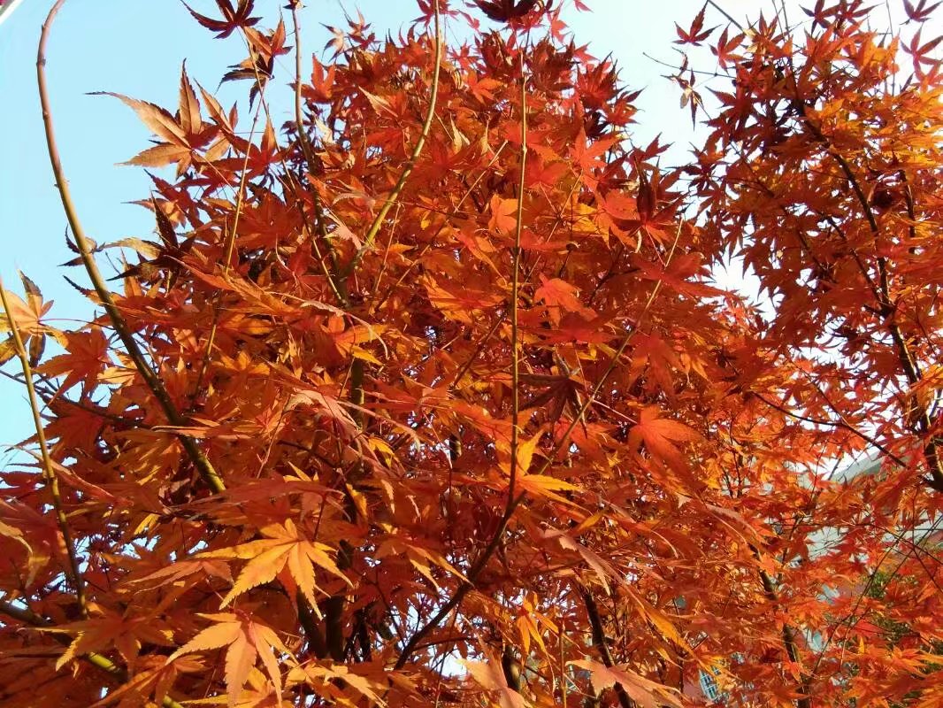 23岁城里小伙子和36岁
屯子留守
主妇之间
产生的故事, 发人沉思