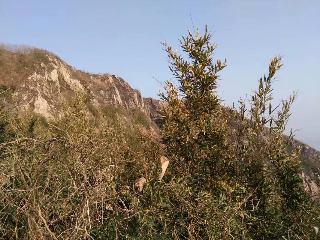 23岁城里小伙子和36岁
屯子留守
主妇之间
产生的故事, 发人沉思