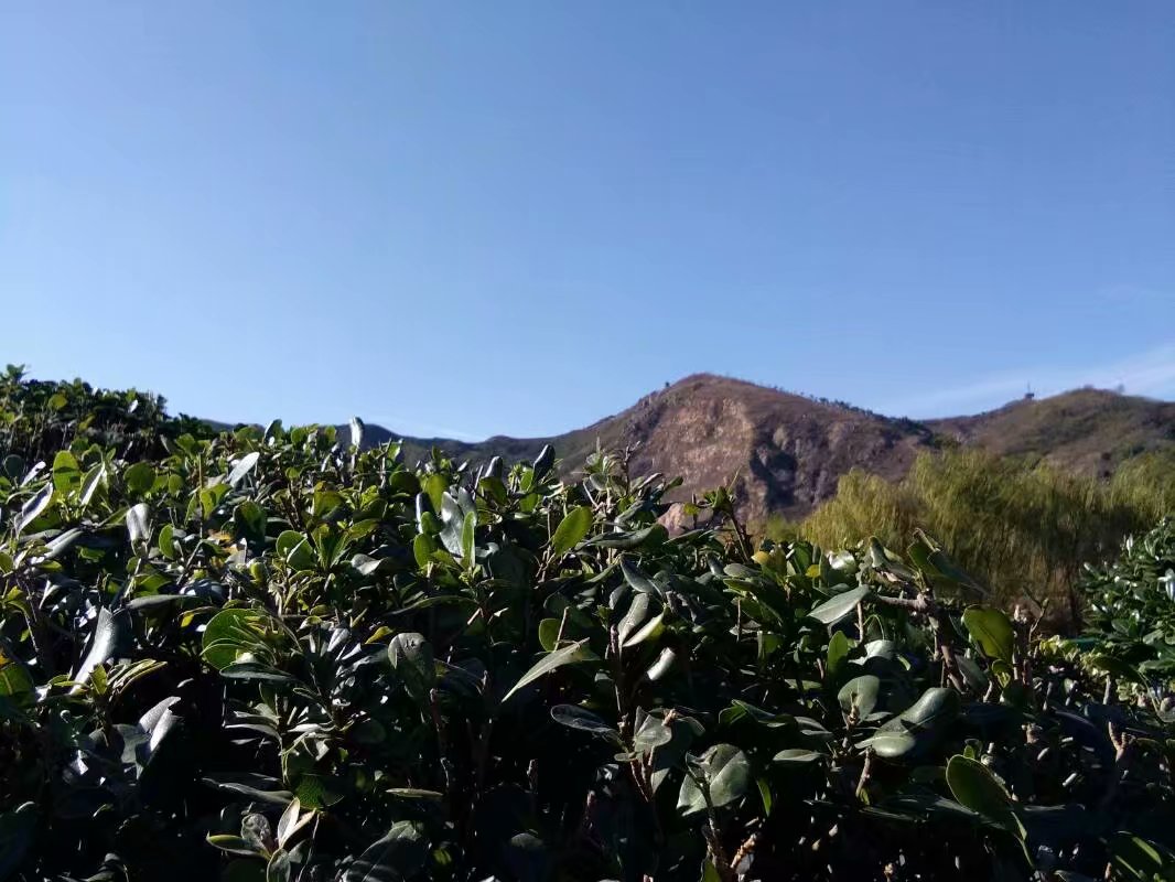 最新小型农业生态园设计方案, 照着做你就发财了