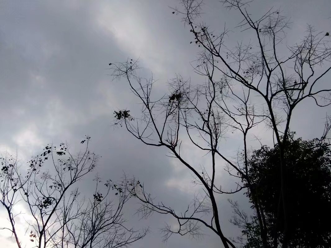 23岁城里小伙子和36岁
屯子留守
主妇之间
产生的故事, 发人沉思