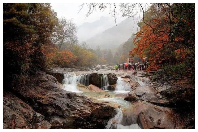 你可能对农夫山泉一无所知，他们的八大水源地就像一幅画