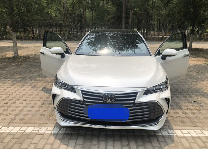 终于如愿,亚洲龙换上运动中网,大叔秒变运动健将