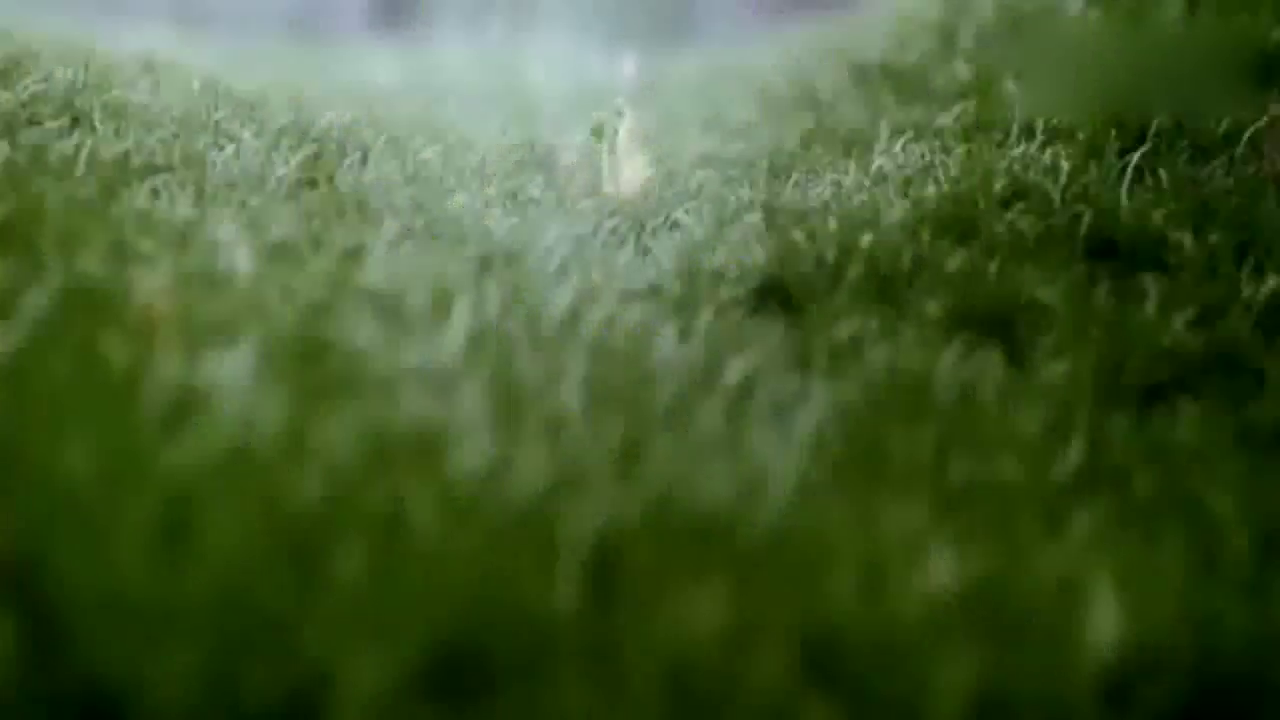 量产平民轿车H5，合资车更急眼了，放下身价的红旗汽车！