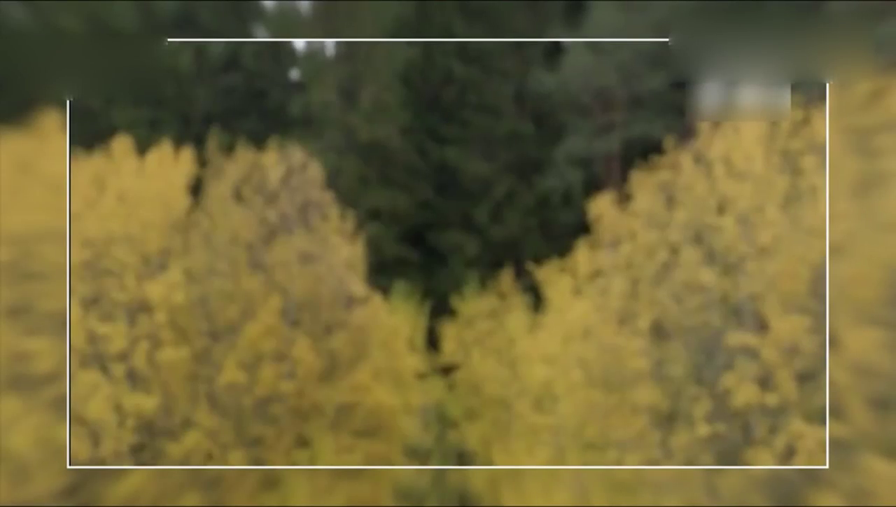 卡车还能追上赛车？沃尔沃告诉你：不仅能还赢了