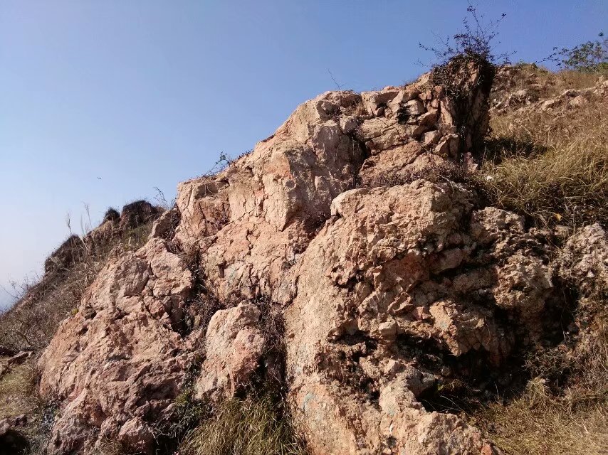 农村大叔的养鸡场里的鸡经常少, 后来终于逮到了特殊的小偷