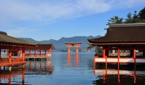 想看要快 日本三景严岛神社海上鸟居6月起将整修一年 严岛神社 三景 鸟 新浪新闻