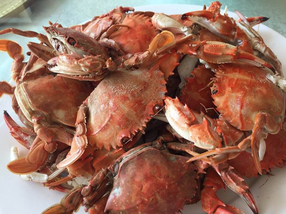 别争了，“石夹红”和“花盖”都是日本蟳