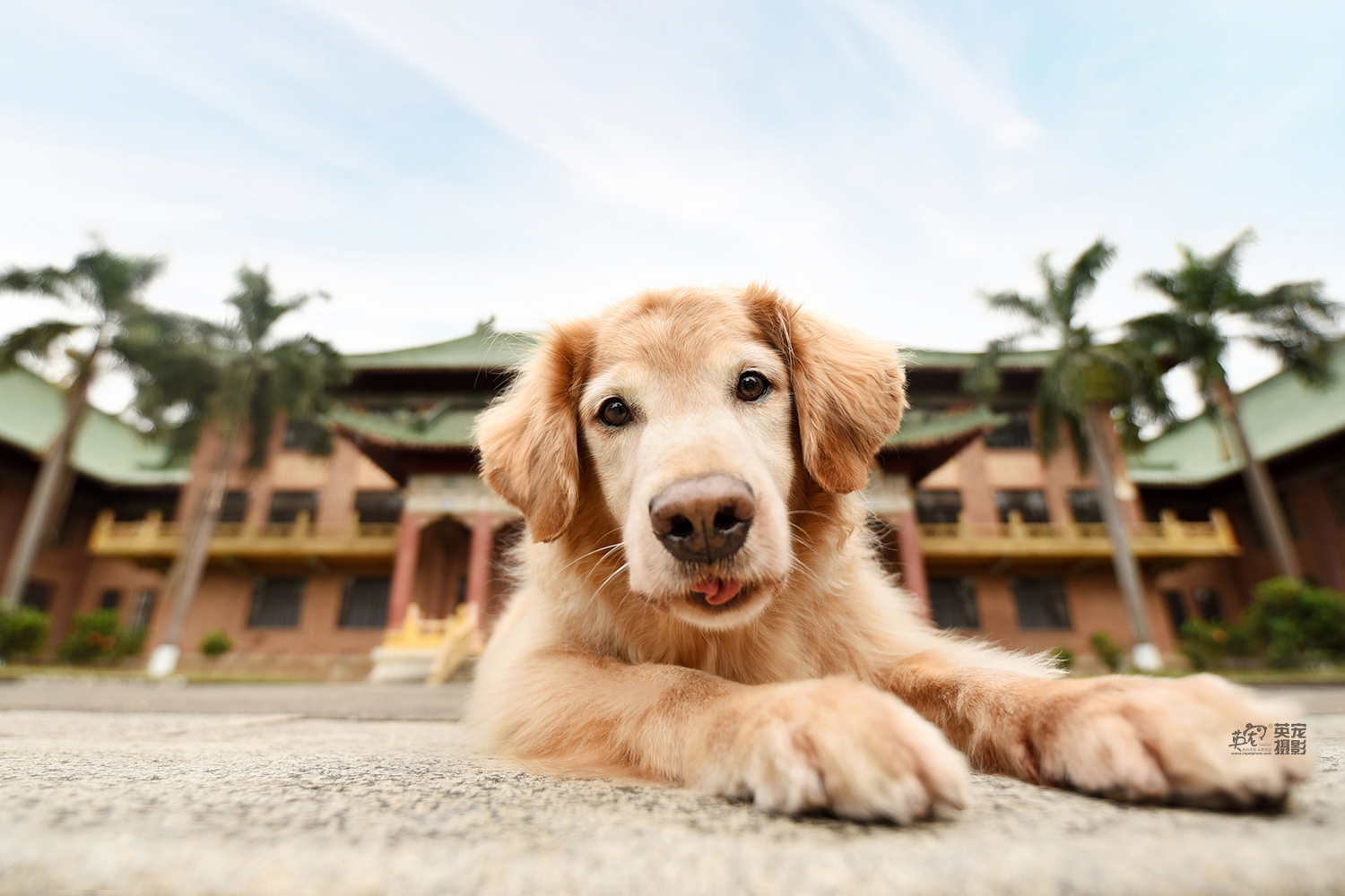 依然是首席摄影师广州拍摄滴照片,还是啦么好
