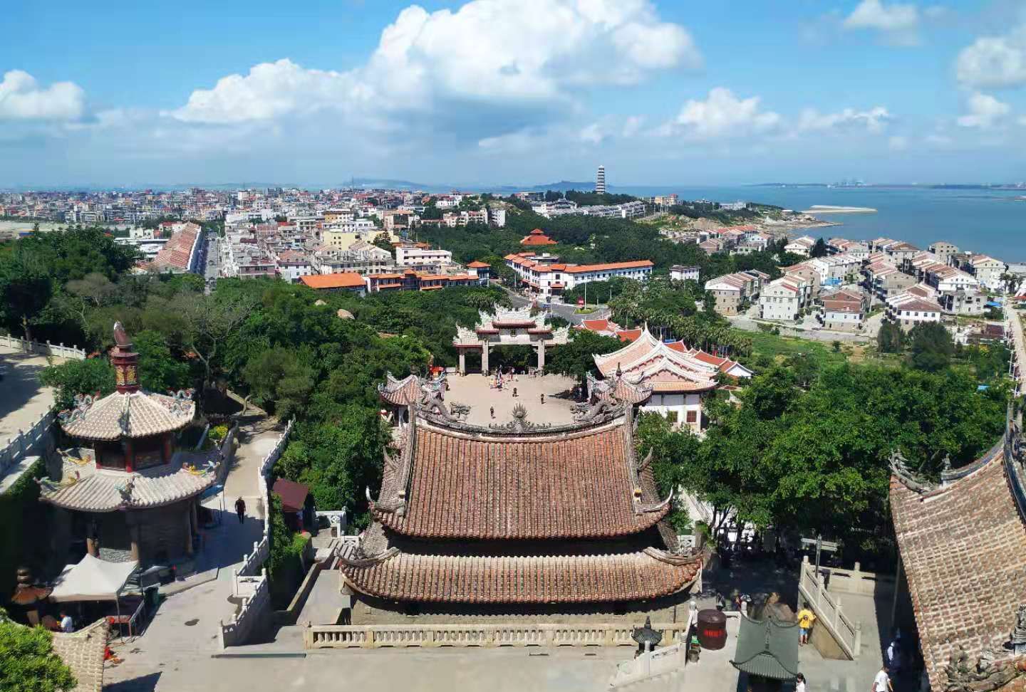 最新研究成果发布：莆田找土车女2025真相揭秘与地方文化观察