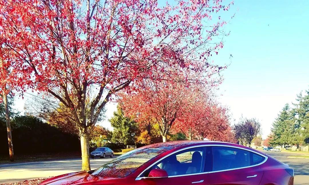 特斯拉汽车已经有哪些付费升级服务？