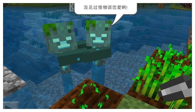 不是巧合也绝非ps 事实证明 Minecraft里也有爱情