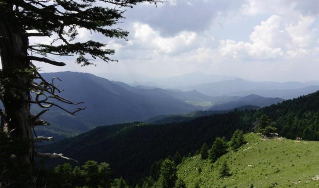 山西与山东经济总量对比_山西经济与科技频道