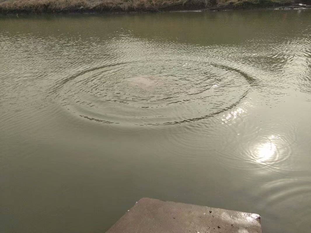 陈敏希讲如何打造万人瞩目的朋友圈