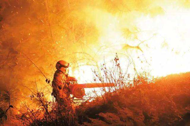 网友辱骂灭火英雄,口舌之快等来的是惩罚,英雄不容侵犯