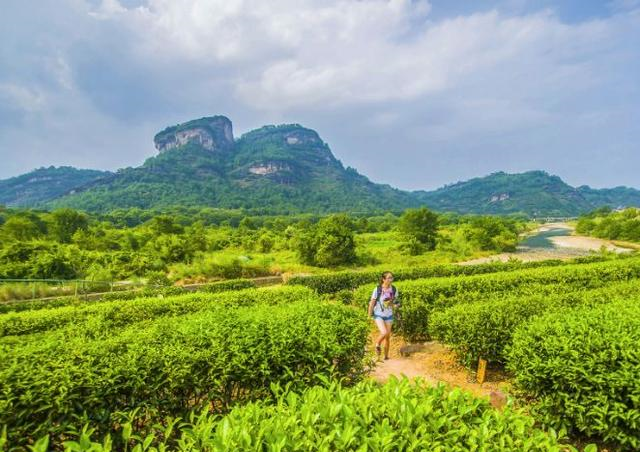 �����������У���ɽ�����Բ��ߺ죬��������������Դ