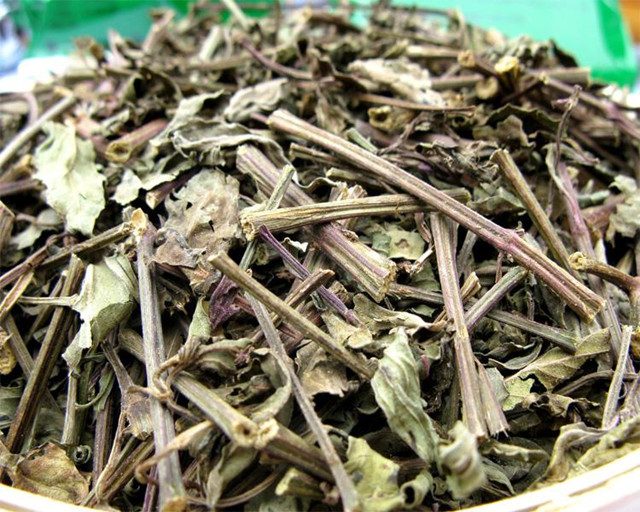 被很多人叫做"化石草",简直就是结石的克星!