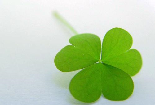 河南商丘龙卷风事件,2名儿童死亡,LV、GUC