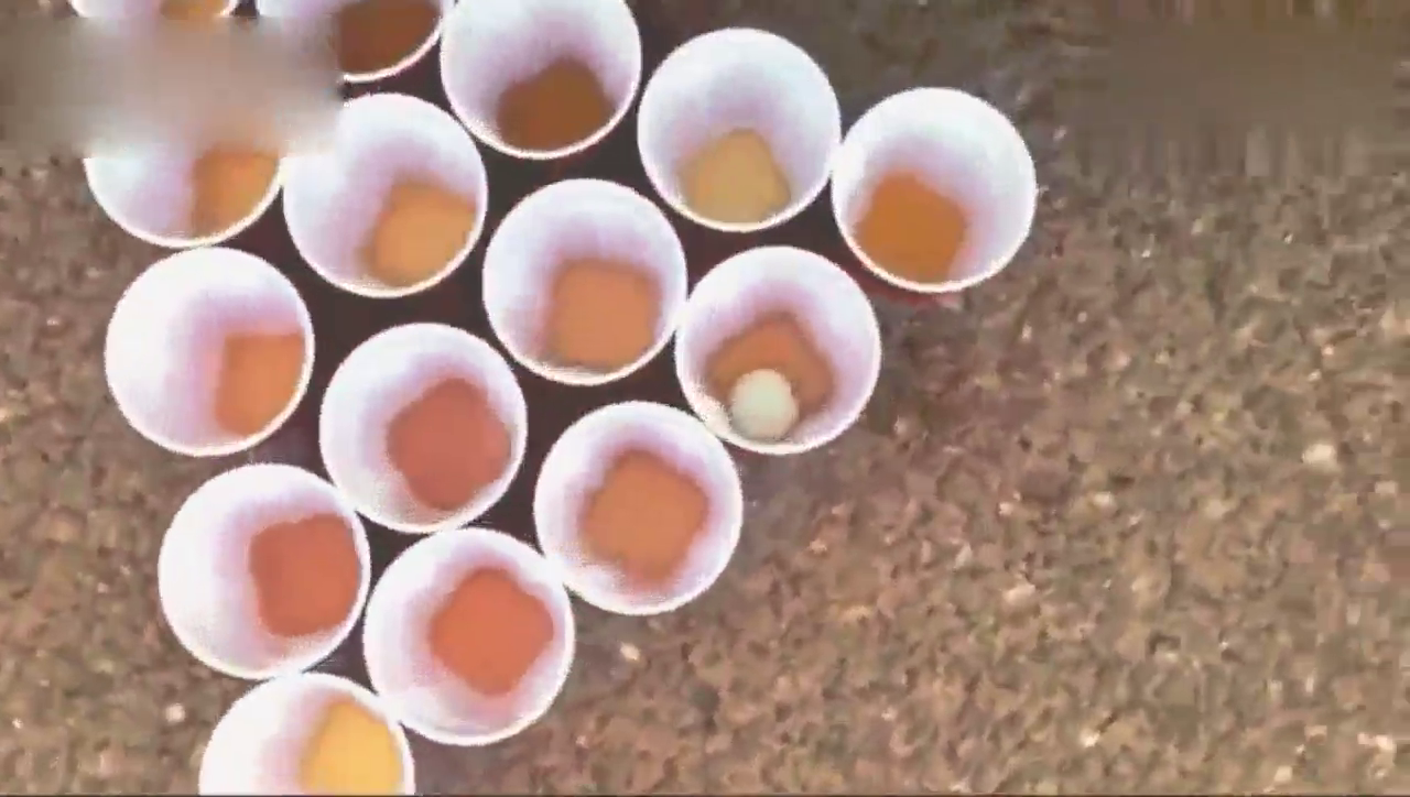 跑车排气管后面放满纸杯，按下钥匙三秒钟后才明白有多霸气