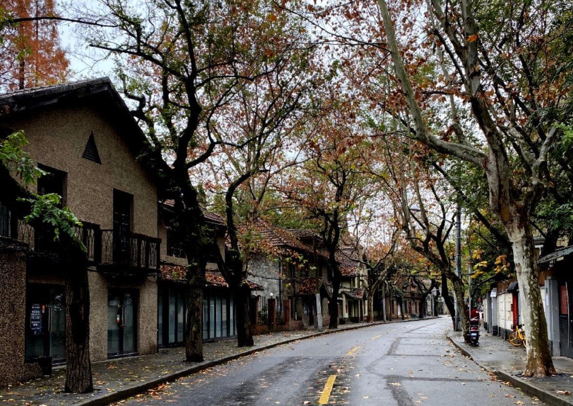 上海最具情调的街道!落叶不扫的衡山路,情侣浪漫圣诞好去处