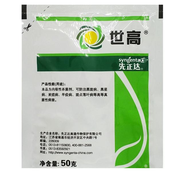 月季初春病害多，防治教程都在此(图13)
