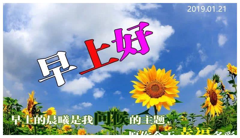 2019新版早上好最漂亮的动态图片带字，美好的一周开始了！