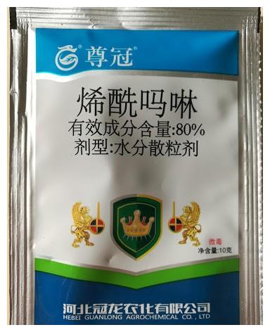 月季初春病害多，防治教程都在此(图10)