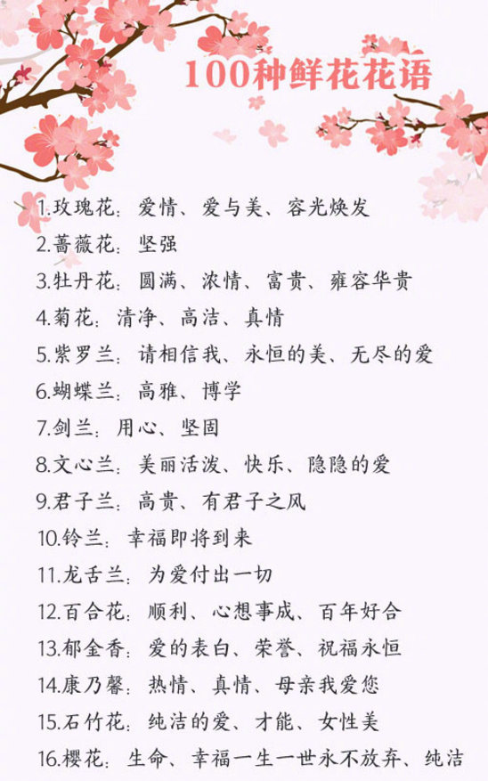 花的花语?什么花都要 (花的花语什么意思)