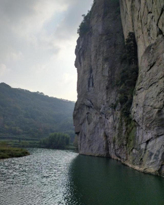 一品茶楼探秘：从入门到品鉴的实用指南