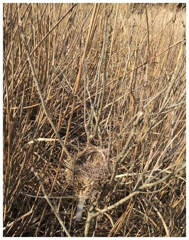 独穿丽水缙云石牛山环线