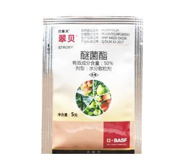 月季初春病害多，防治教程都在此(图5)