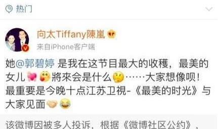 向太微博被删怒怼新浪,直言不再给对方一分钱