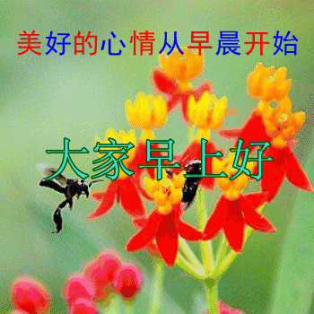 2019新版早上好最漂亮的动态图片带字，美好的一周开始了！
