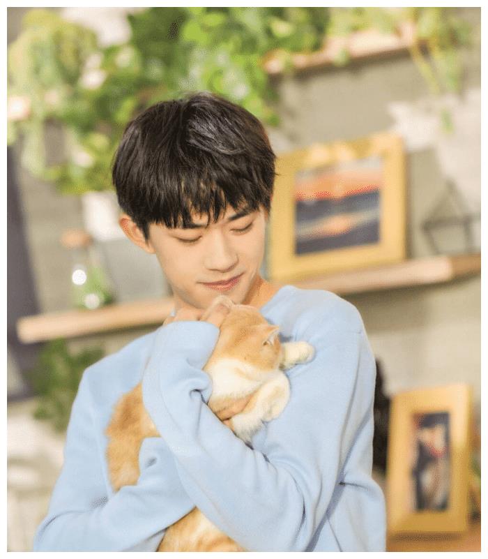 易烊千玺撸猫动作娴熟,胡歌刘亦菲杨幂等人也