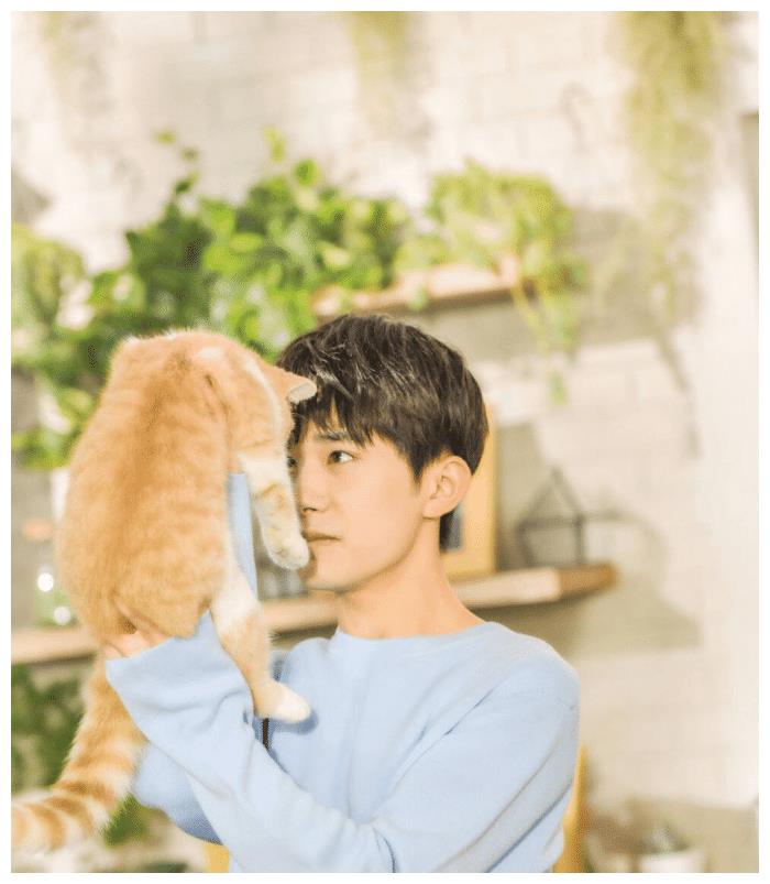 易烊千玺撸猫动作娴熟,胡歌刘亦菲杨幂等人也