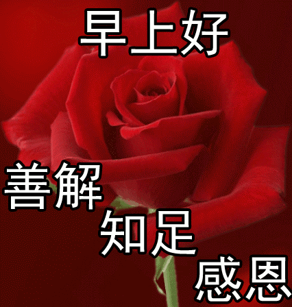 2019新版早上好最漂亮的动态图片带字，美好的一周开始了！