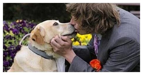 人与狗结婚,变态男子想和自己的宠物狗狗结婚