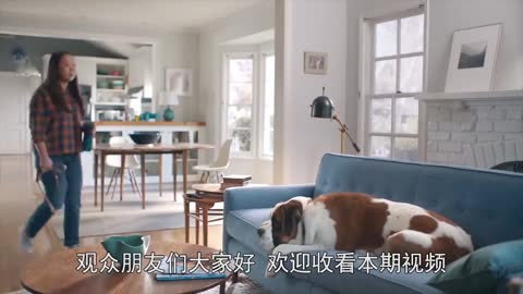 5万一只“茶杯犬”怎么来的？不了解不知道，一了解吓一跳