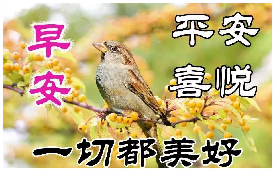 一颗红心永向党 哈九博士庆祝七一建党节