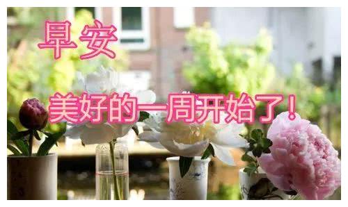 2019新版早上好最漂亮的动态图片带字，美好的一周开始了！