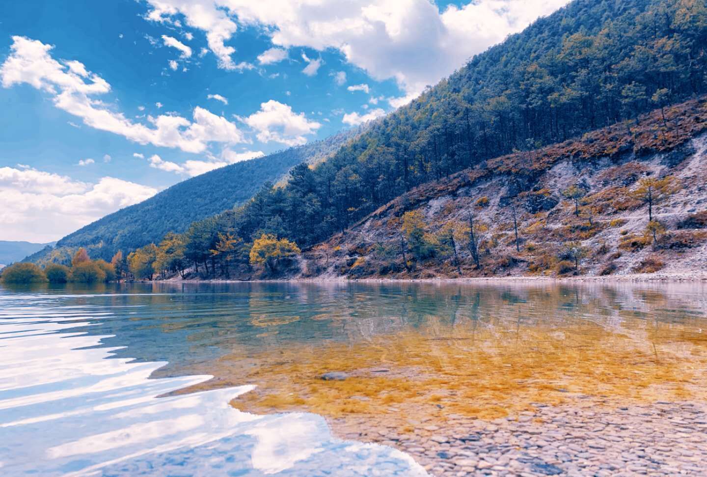 祖国大好河山风景图片_高清图集_新浪网